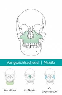 Skeletkwartet eerste druk,