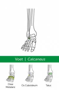 Skeletkwartet eerste druk,